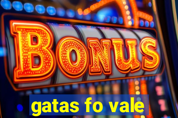 gatas fo vale